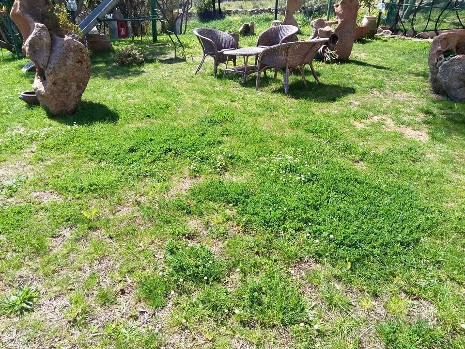 كانّيجوني Bed And Breakfast Li Paduli Alvi الغرفة الصورة
