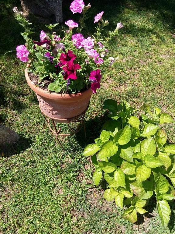 كانّيجوني Bed And Breakfast Li Paduli Alvi المظهر الخارجي الصورة